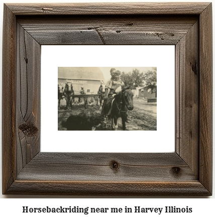 horseback riding near me in Harvey, Illinois